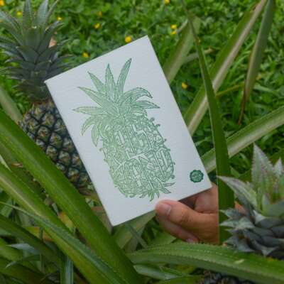 Pineapple-Notebook