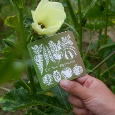 Eat Your Veggies-Fridge Magnet