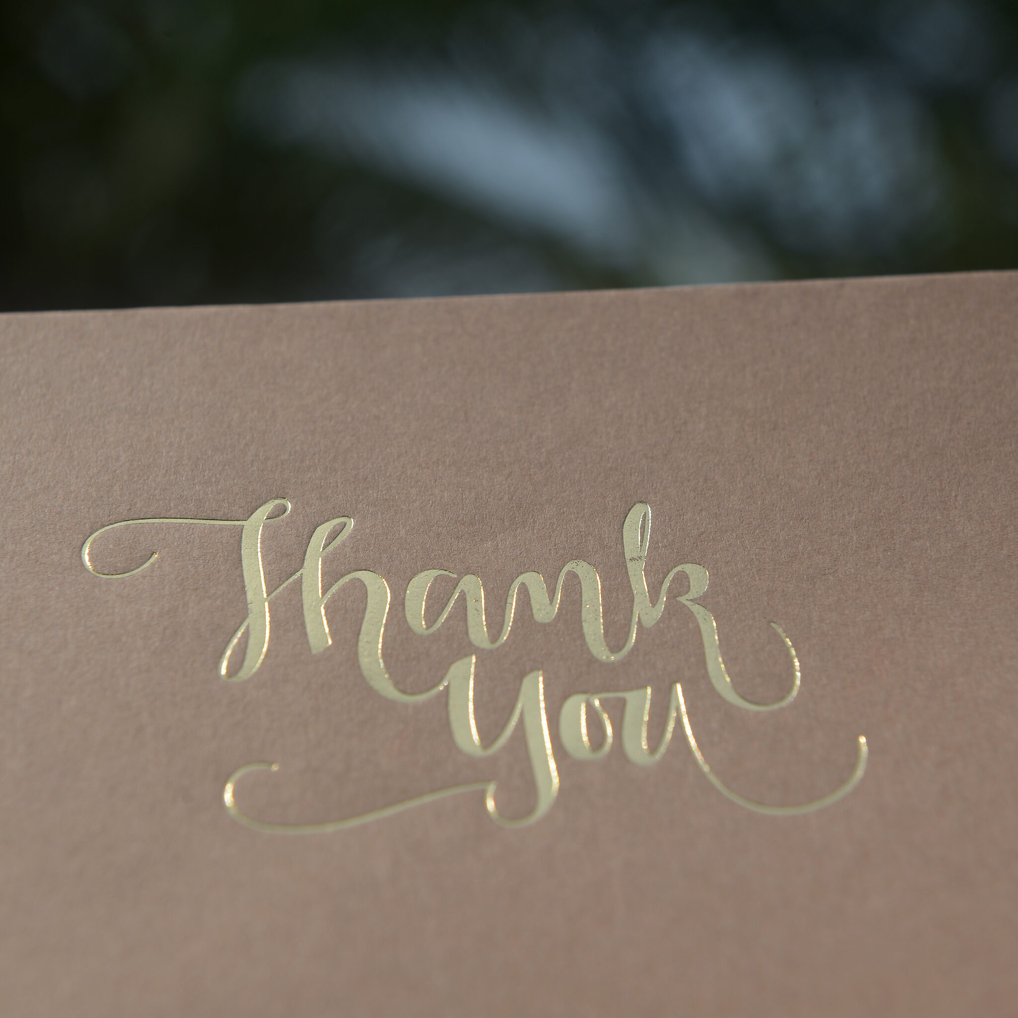 Thank You-Cash Envelope 5pcs per Pack - Image 4