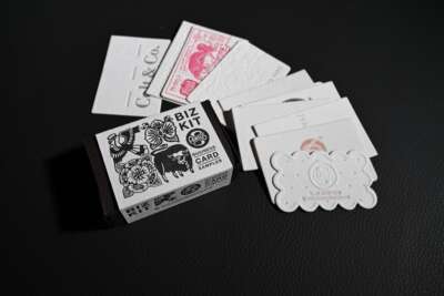 BIZ-KIT (Business Cards Sample Kit)